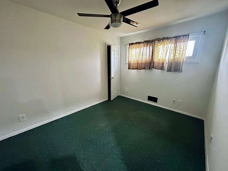 214 Mark Tree Rd — Photo 14