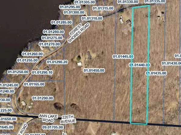 225X Forest Shores Rd, Ogilvie, MN 56358