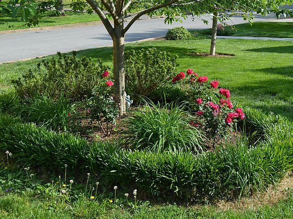 5th image of 171 Maplemere Dr