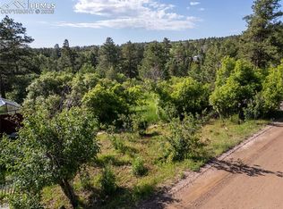 Buena Vista Ave, Palmer Lake, CO 80133