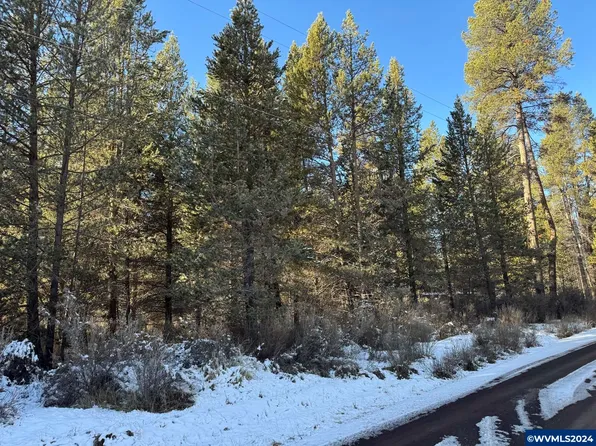 Brook Trout Ln, Chiloquin, OR 97624