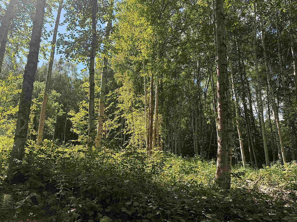 2nd image of 2329 Cripple Creek Rd