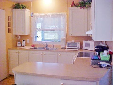 3rd image of 768 Princess Palm Pl