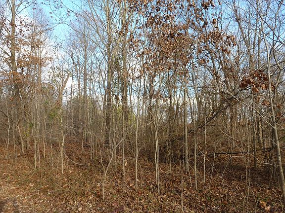 4th image of 516 E County Road 100 S