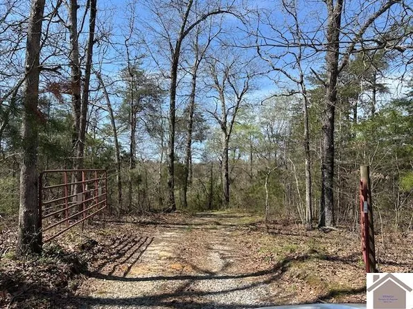 0 Markham Rd, Princeton, KY 42445