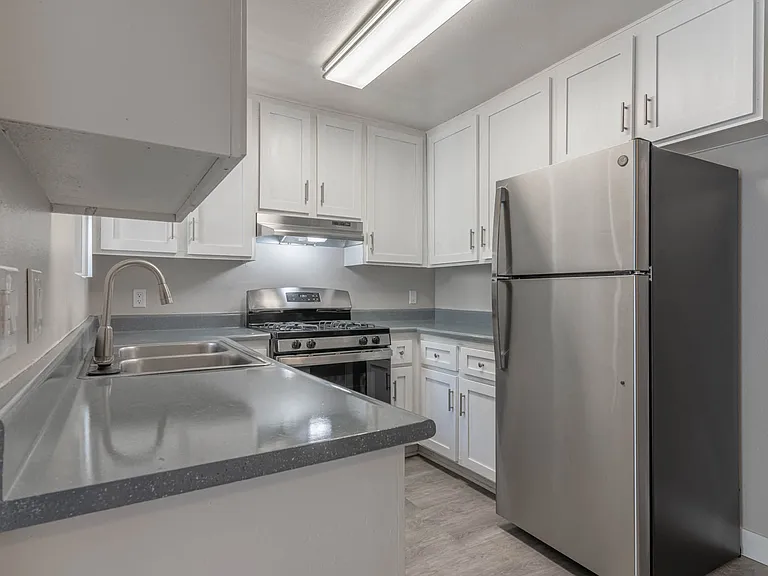 Shoreline Apartments — Photo 17