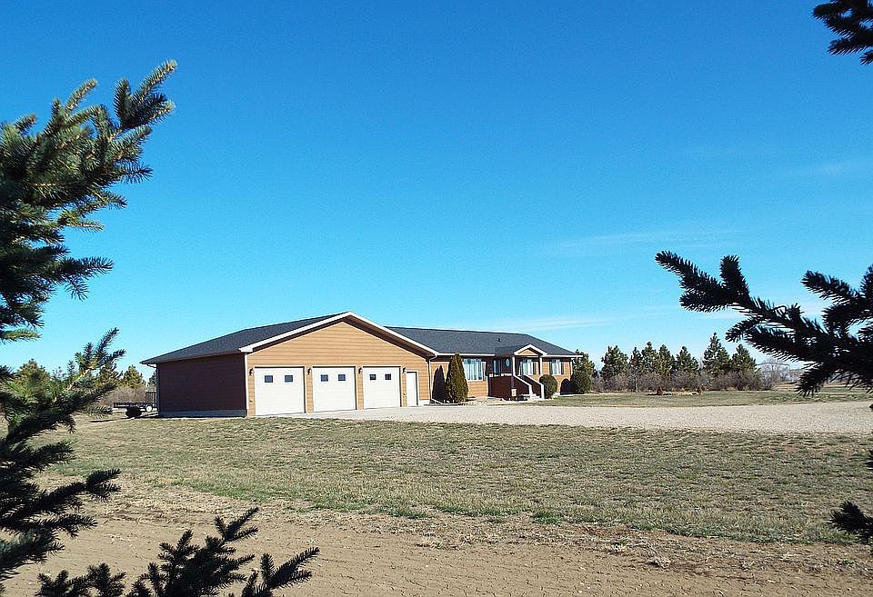 view from pines on property