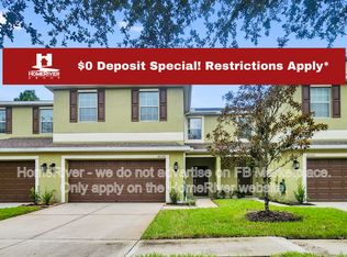 20320 Starfinder Way, Tampa, FL 33647