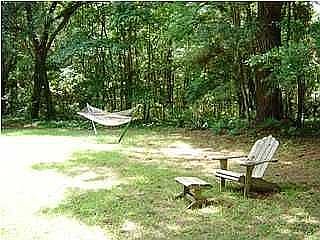 Relax under the trees.