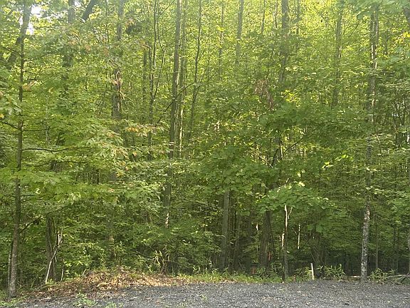 3rd image of 37 Mountain Valley Ln