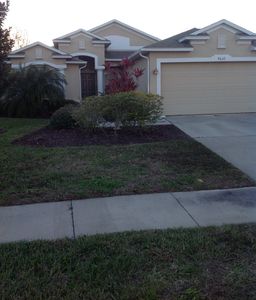 9632 Pacific Pines Ct, Orlando, FL, 32832