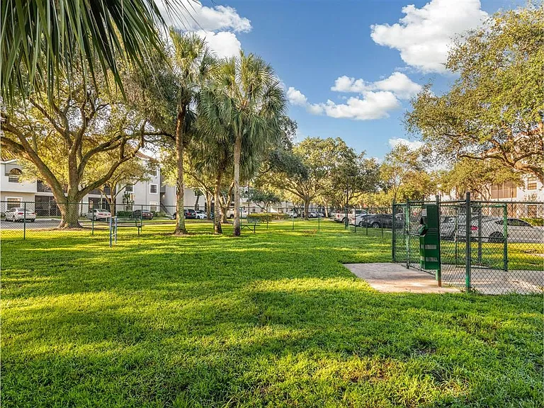 Dog Park