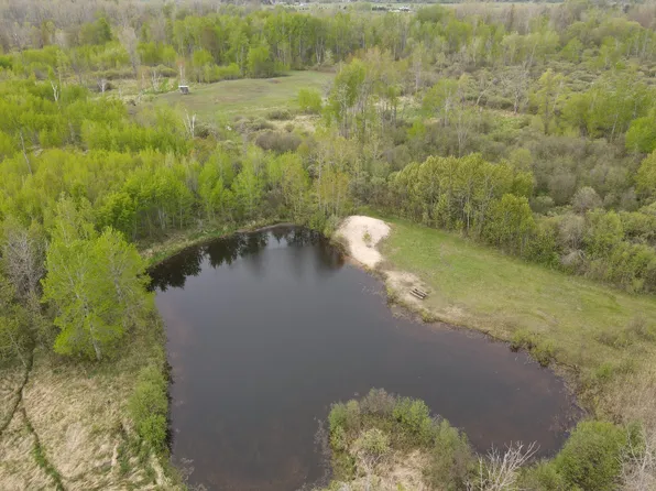 Alabaster Rd, National City, MI 48748