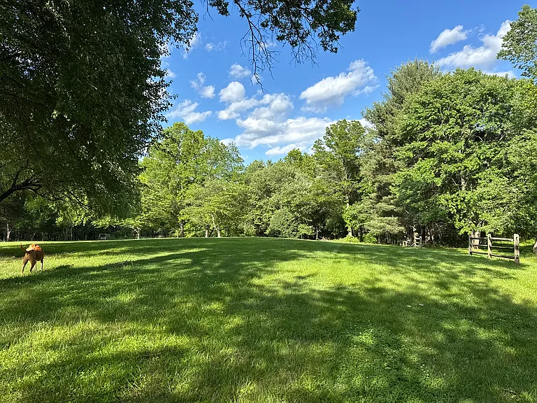 13465 Long Days Ct — Photo 8