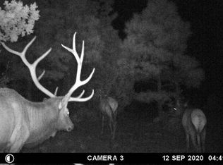 Moreno Hill Rd, Fence lake, NM 87315