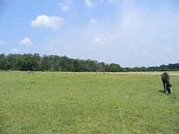 2nd image of 250 County Road 1006