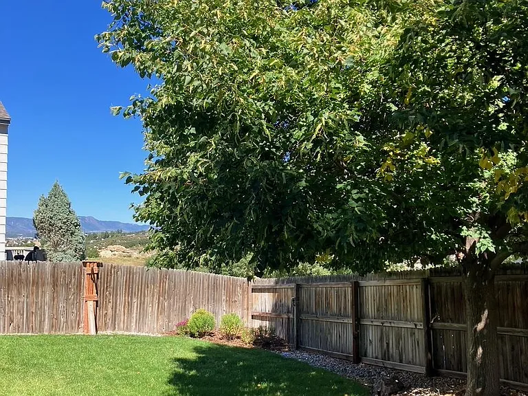 2726 Lear Dr — Photo 8
