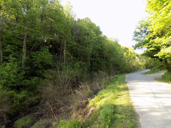 Par 23.01 Driftwood Rd, Cosby, TN 37722