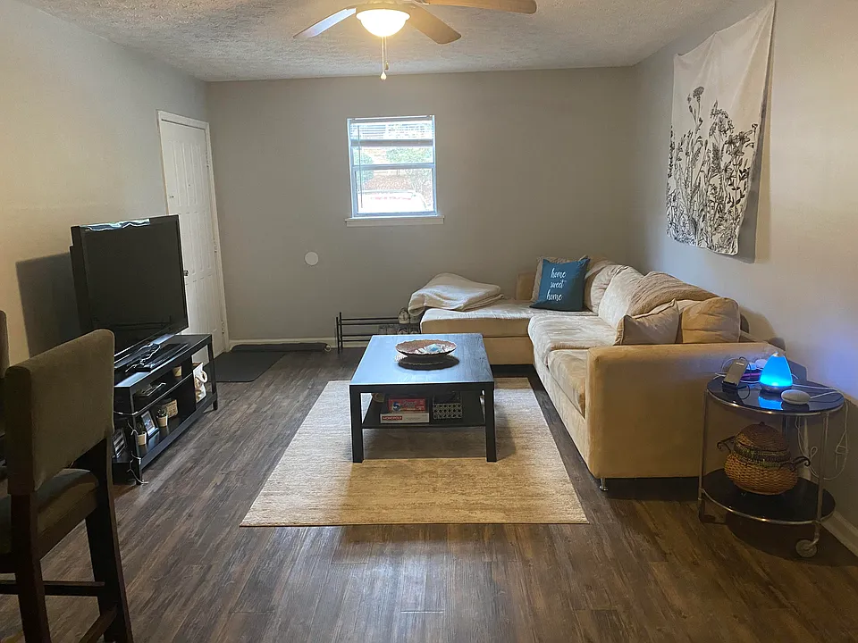 living room is open to the kitchen- picture is taken from the kitchen