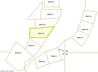 Town Rd E, Trapper Creek, AK 99683