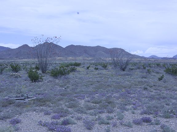 5th image of 118 Hwy 118 South