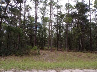 601 E MARQUETTE LANE LOT 22, CITRUS SPRINGS, FL 34434