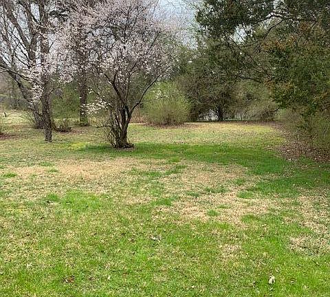 2nd image of 5033 Mimosa Cir