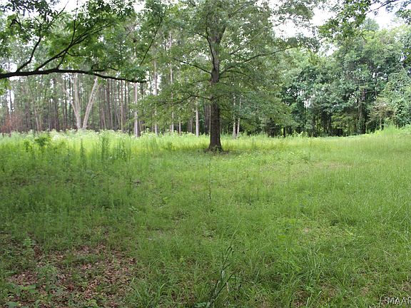 2nd image of 1563 Fort Deposit Rd
