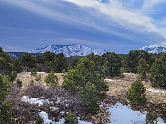 5th image of 84 Colo Land & Grazing Cir #1