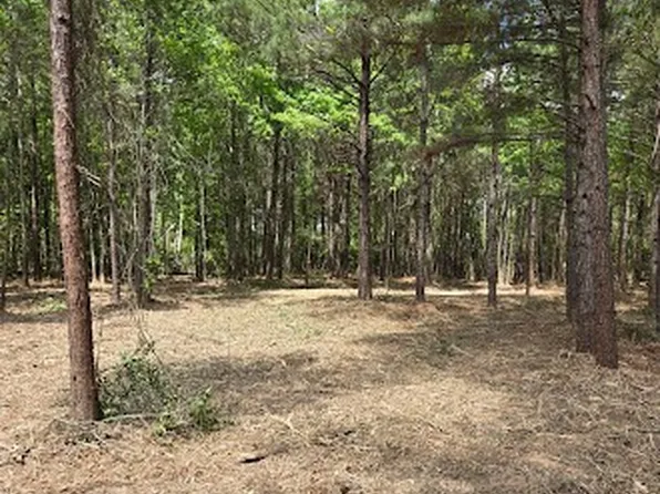 0 Palomino Ln, Grand Cane, LA 71032