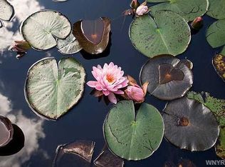 7833 Burr Rd, Colden, NY 14033