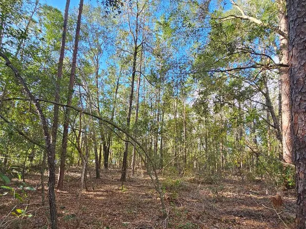 188 Place, Live Oak, FL 32060