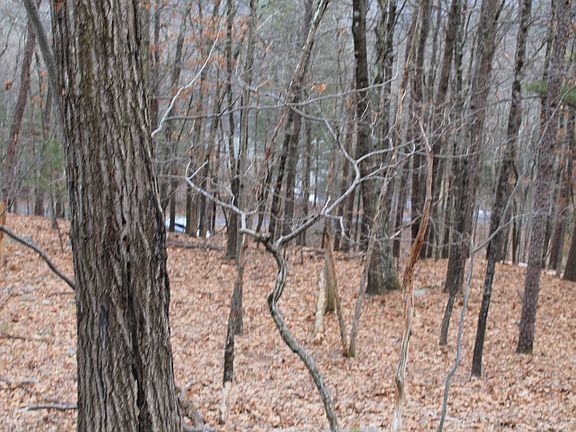 5th image of 2135 Autumn Ct