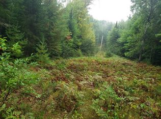 Chain Lake Rd, South branch, MI 48761