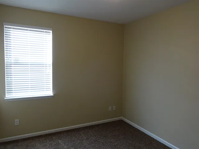 3901 Ringneck Dr — Photo 6