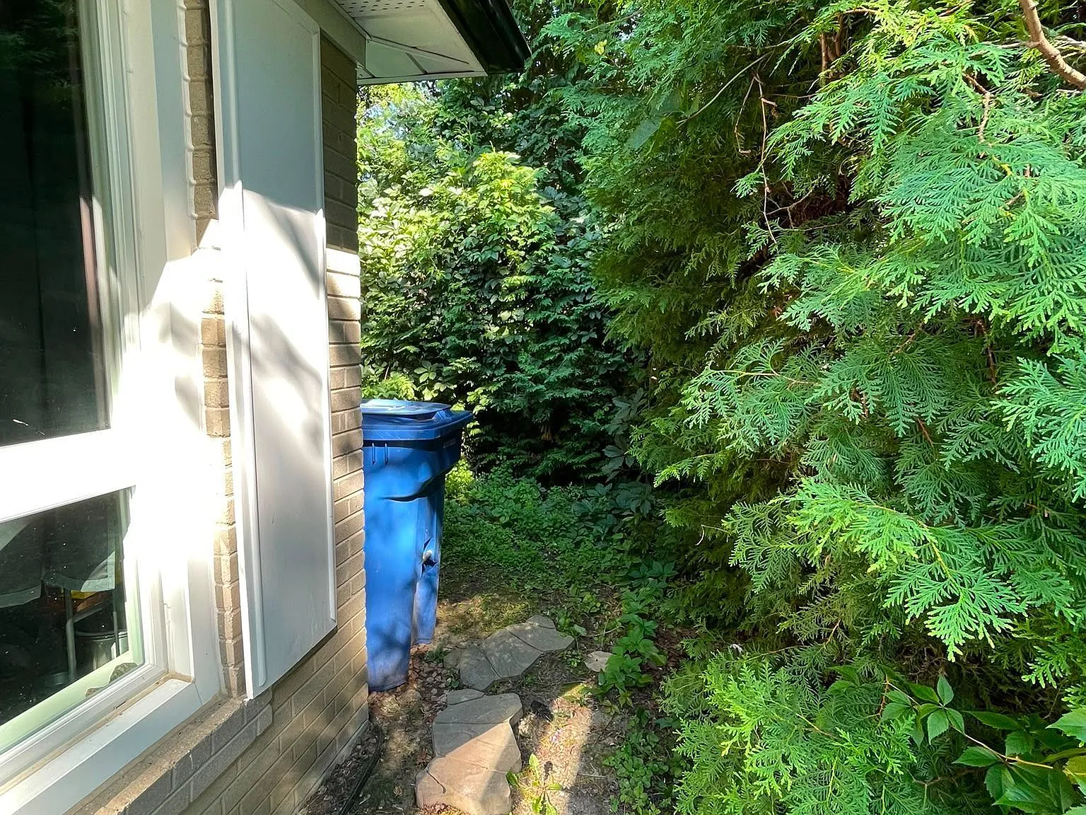 1 bed, $1,380 — Photo 3