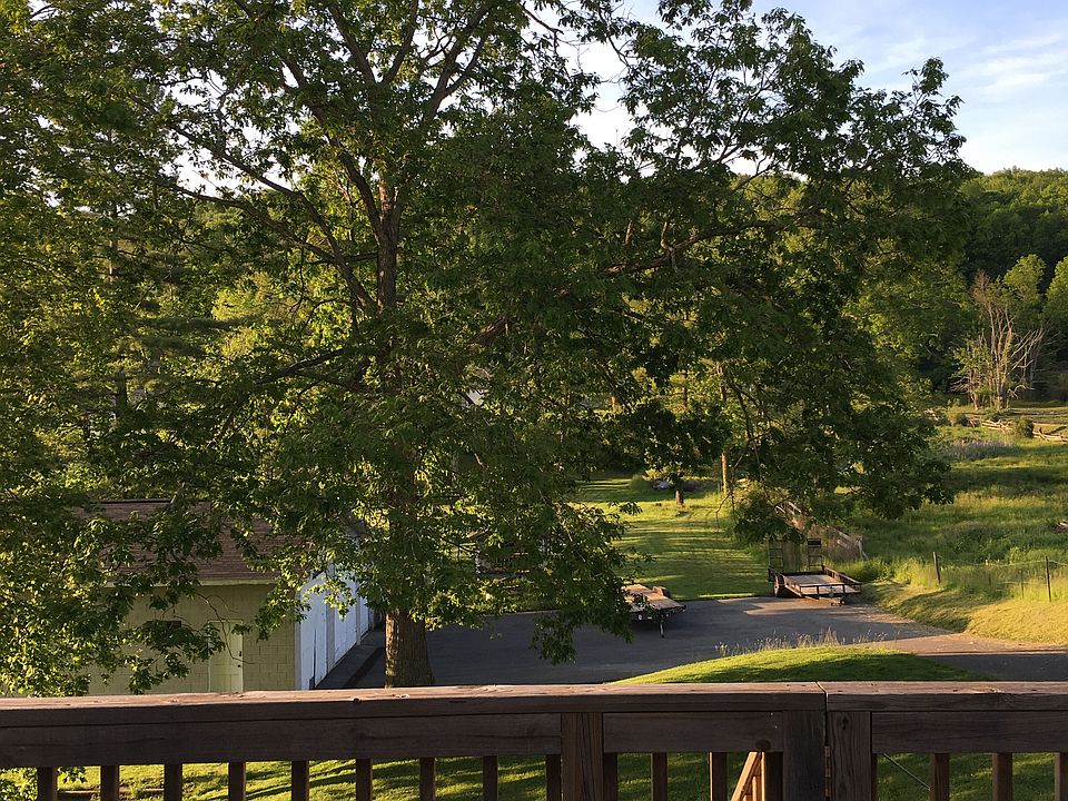 Back yard view