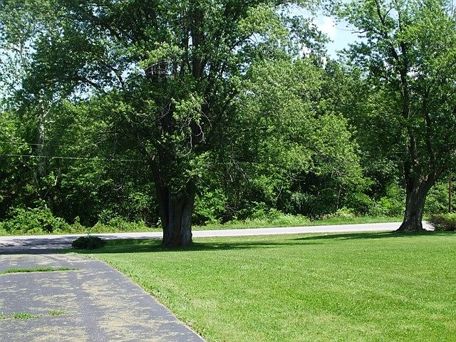 View from the house