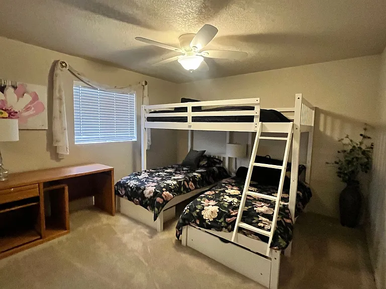 441 Silver King Dr — Photo 17