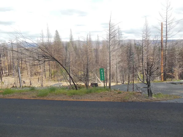 4893 Mount Pleasant Dr, Grizzly Flats, CA 95636