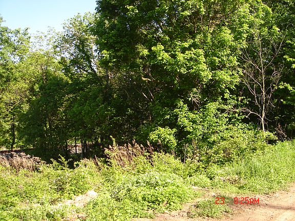4th image of Upper River Road
