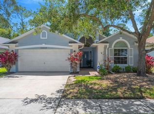 14524 Weeping Elm Dr, Tampa, FL 33626