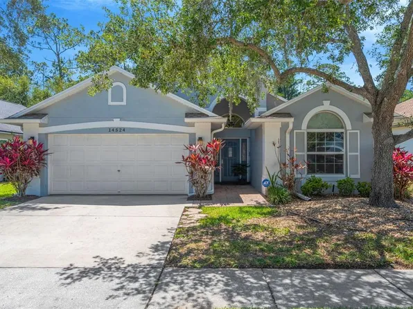 14524 Weeping Elm Dr, Tampa, FL 33626