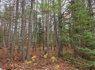 Battalion Blvd, Grayling, MI 49738