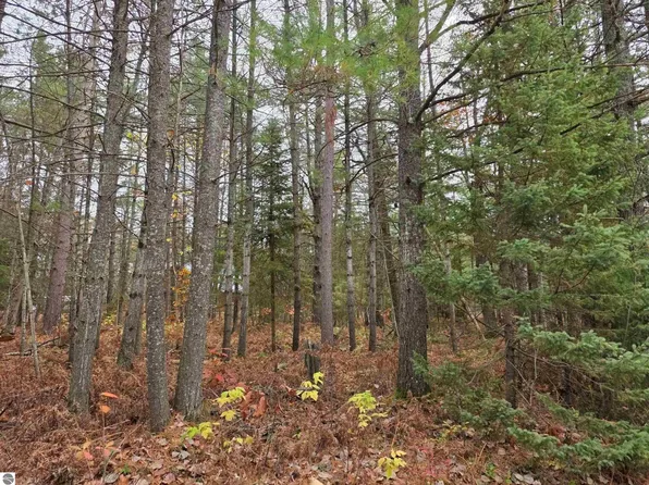 Battalion Blvd, Grayling, MI 49738