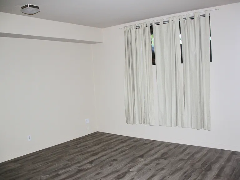 Lower-Level Bonus Room