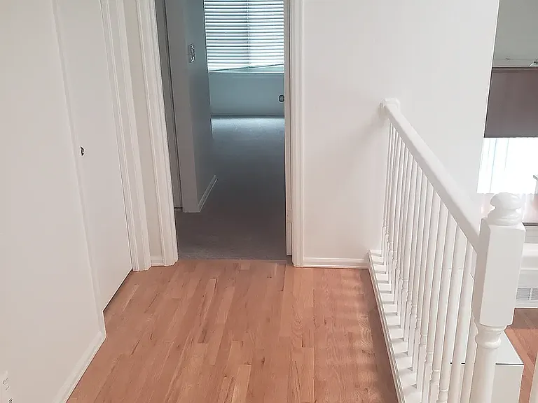 1184 Lily Ct — Photo 16