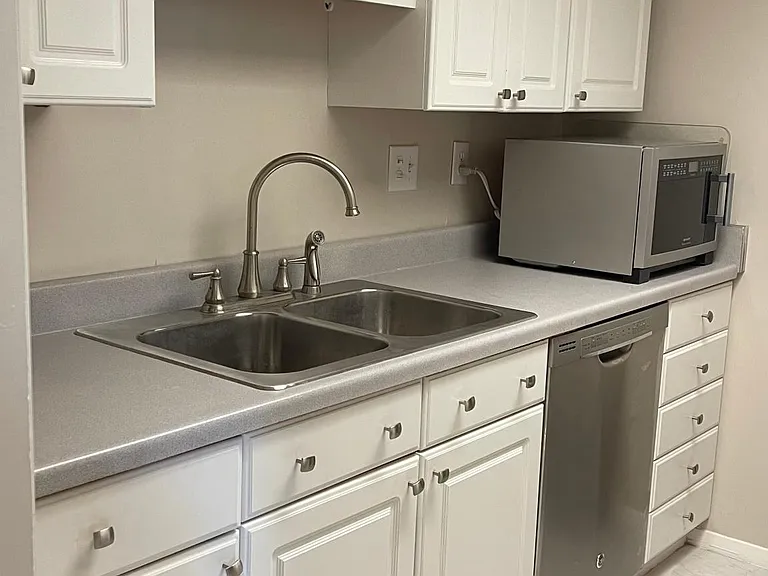 Kitchen Sink Dishwasher and Microwave