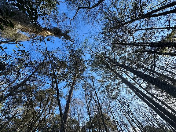 3rd image of 0 Cooke Rd Lot 1