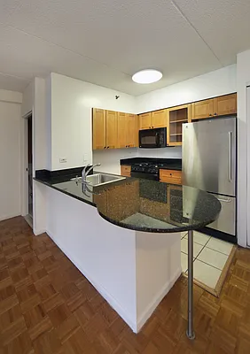 Rented by Manhattan Skyline | media 2